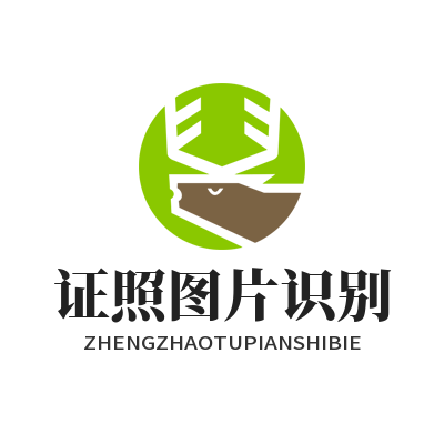 1783567898134240.png 易翻译 证照图片识别